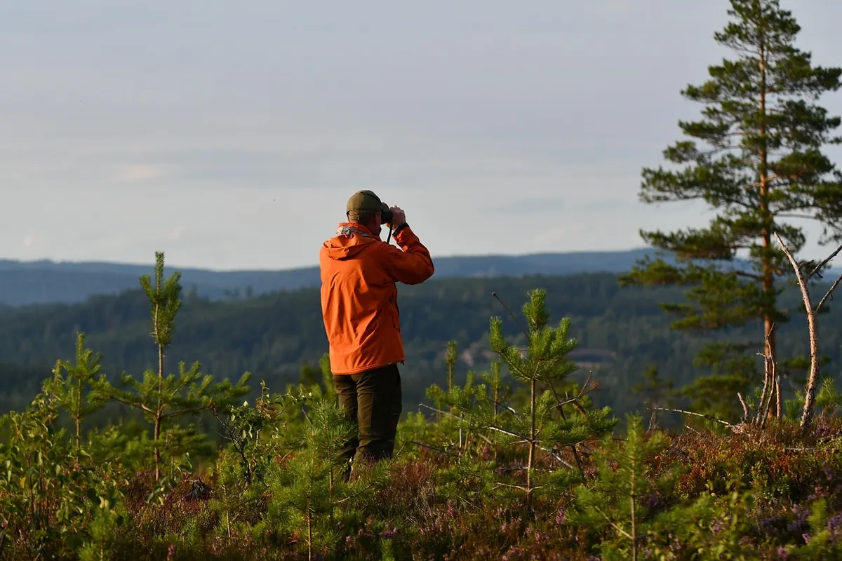 Beginner's Guide to Birdwatching in Wick: Where to Go and What to See